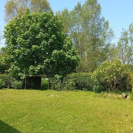 Apartman V Jame Černá v Pošumaví Exteriör bild
